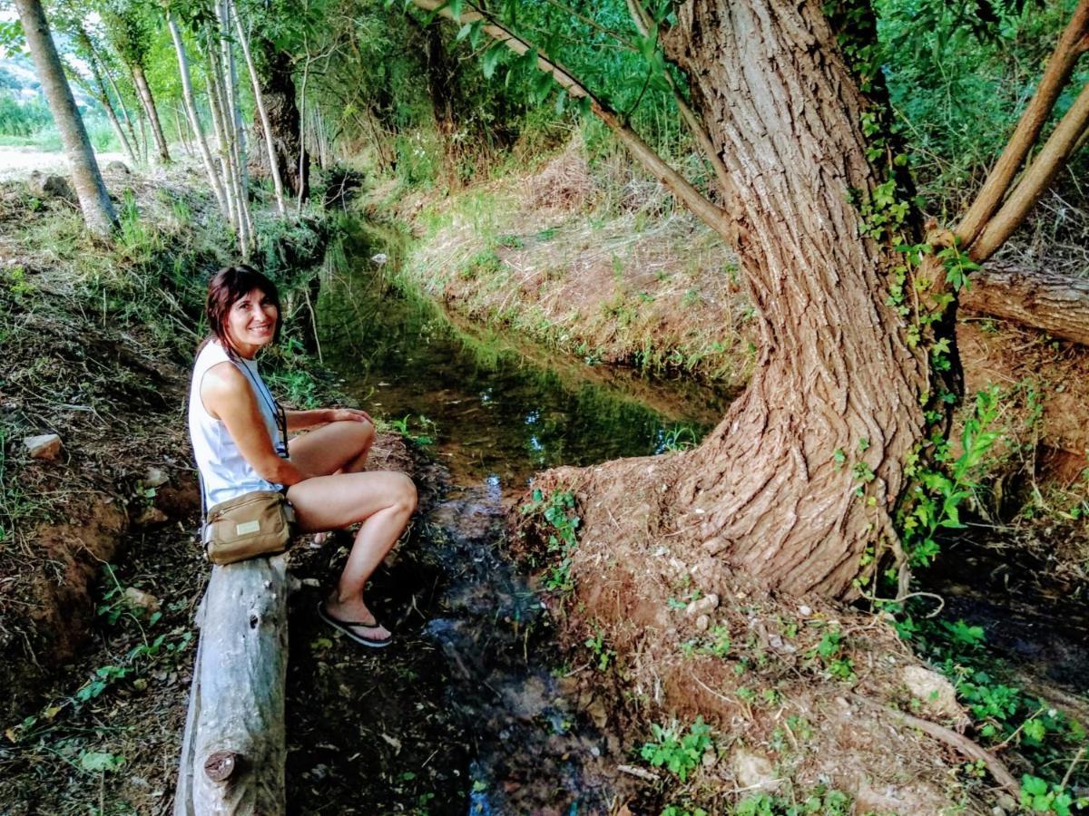 Alojamiento Rural Las Maravillas Cañada Catena المظهر الخارجي الصورة